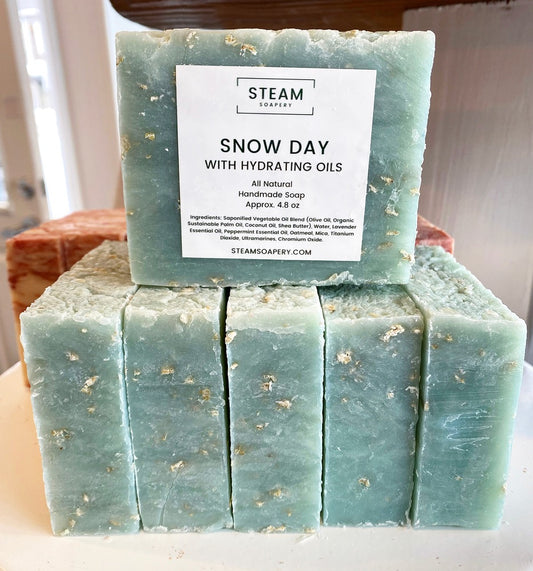 Snow Day (Arctic Mint) Exfoliating Soap